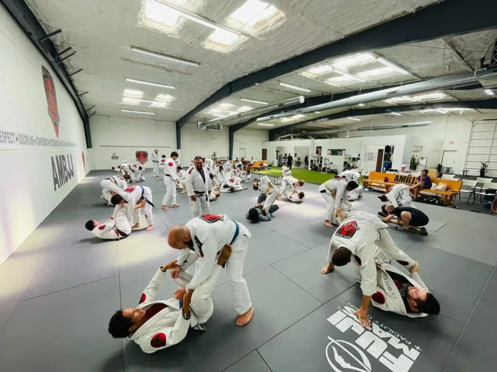bjj classes near me